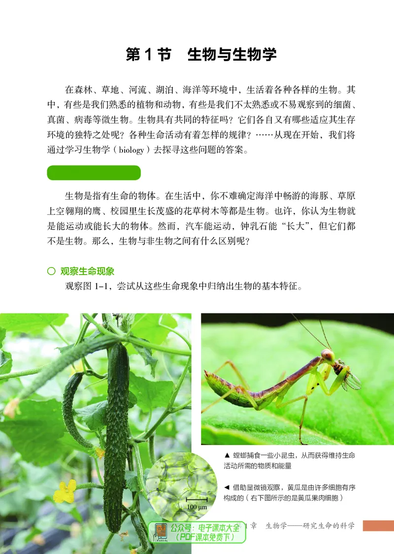 《生物七上苏科版（2024秋）_光塔笔记初中课本_初中生物学_苏科版》第10页预览