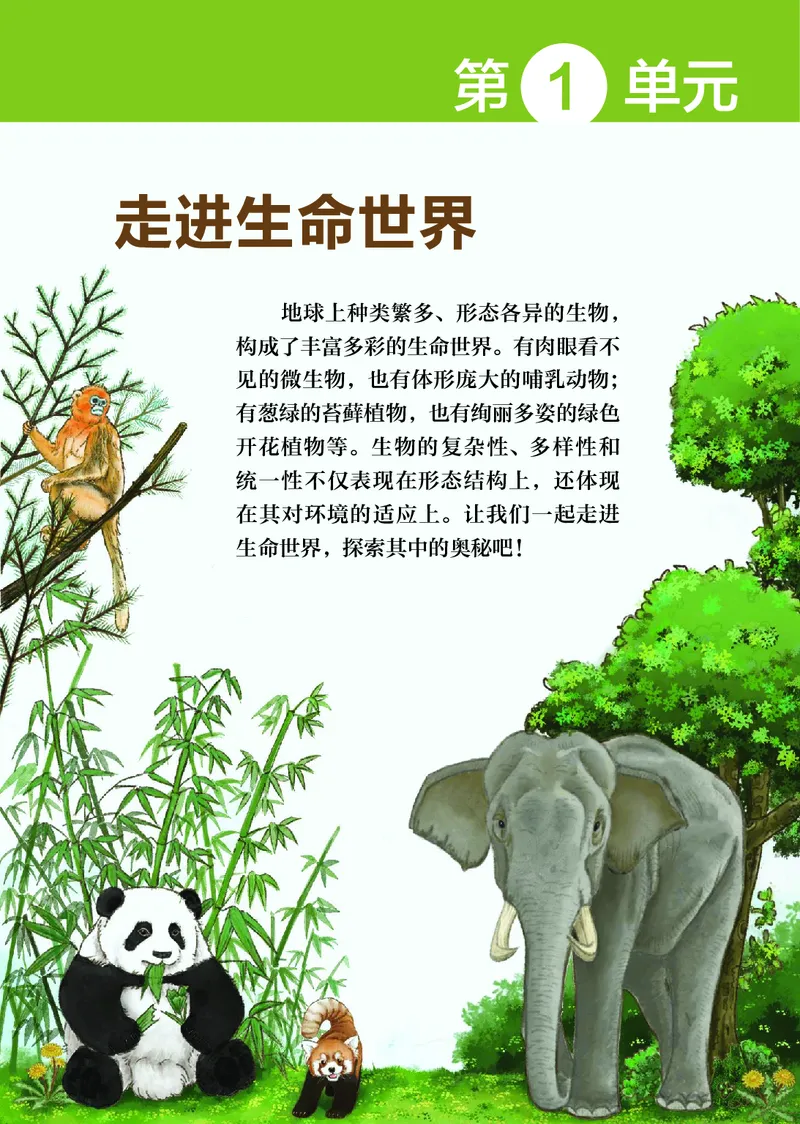 《生物七上苏科版（2024秋）_光塔笔记初中课本_初中生物学_苏科版》第8页预览