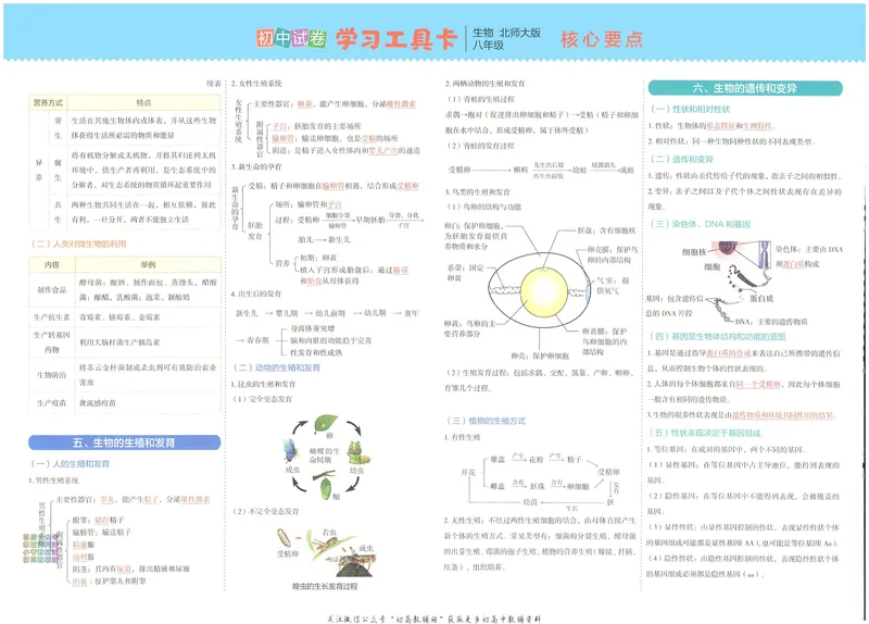 《53初中试卷8年级上册生物北师版_初中全科目同步习题+精品试卷（7-9年级）_25秋初中生物《同步习题+精品试卷》_初中生物试卷（北师大）_《53初中试卷》》第4页预览