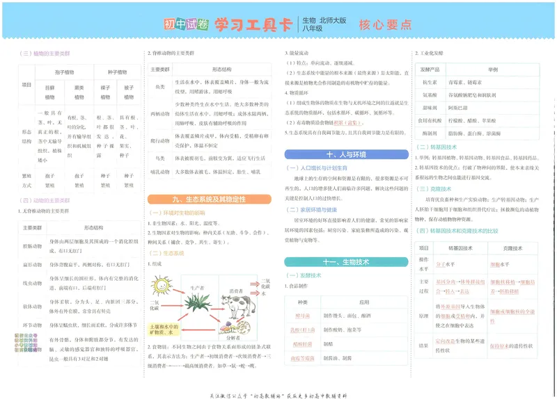 《53初中试卷8年级上册生物北师版_初中全科目同步习题+精品试卷（7-9年级）_25秋初中生物《同步习题+精品试卷》_初中生物试卷（北师大）_《53初中试卷》》第6页预览