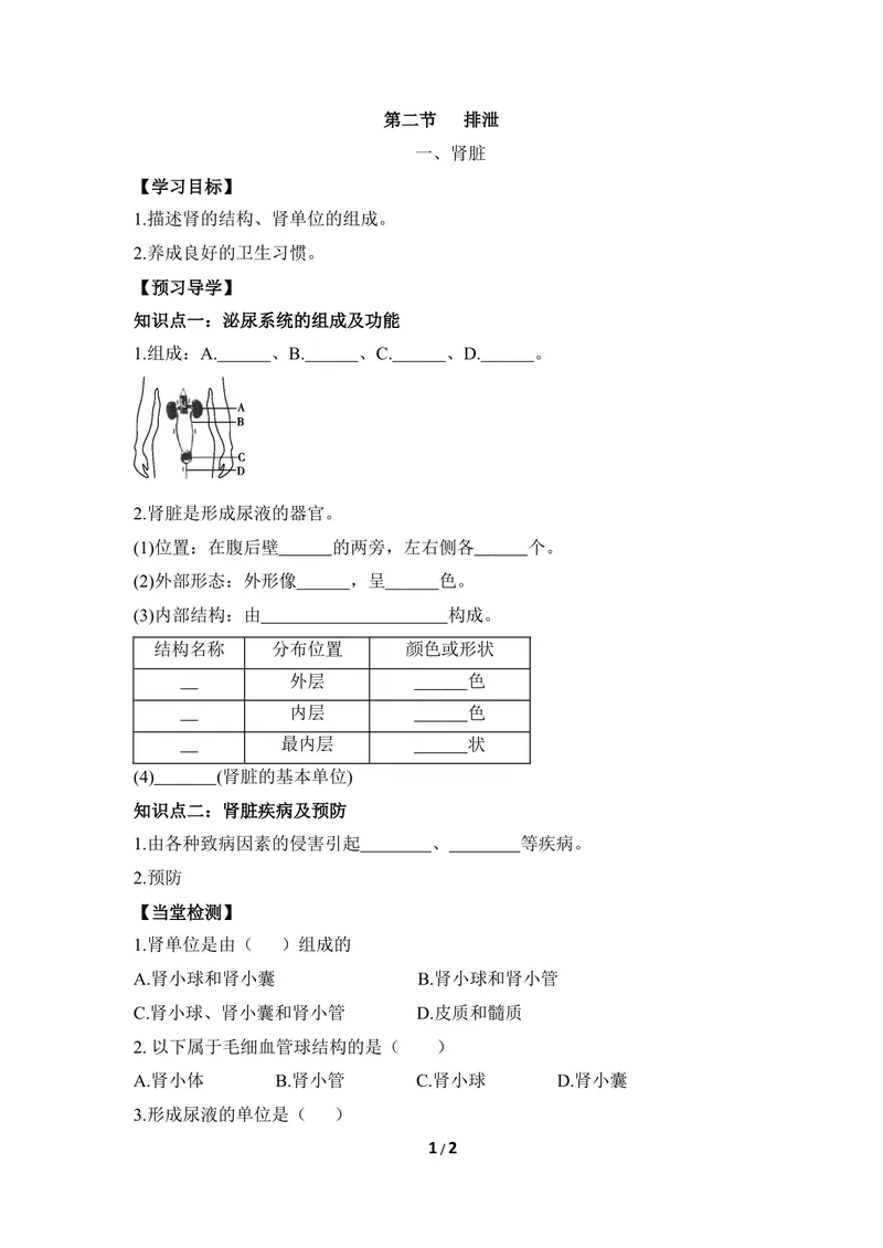 《《排泄》第一课时导学案_初中全科目同步习题+精品试卷（7-9年级）_25秋初中生物《同步习题+精品试卷》_初中生物试卷（冀少版）_《同步练习+教案学案》_七年级下册》第1页预览