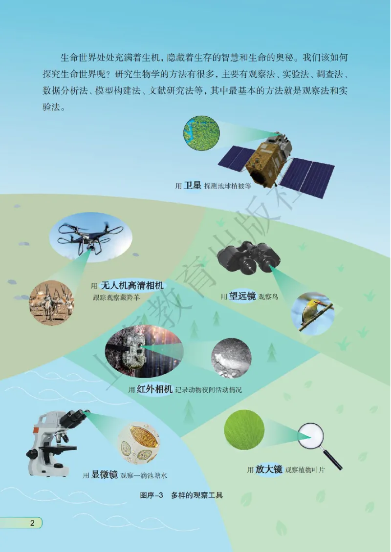 《生物七上沪教版五四制（2024秋）_光塔笔记初中课本_初中生物学_沪教版五四制》第9页预览
