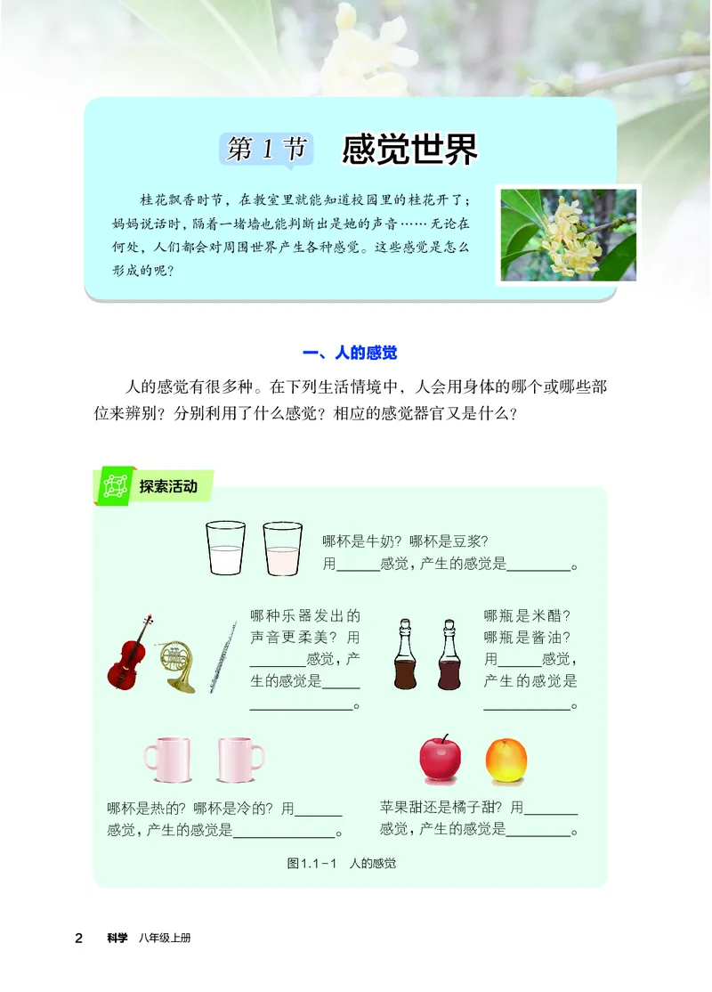 《科学八上浙教版（2025秋）(1)_光塔笔记初中课本_初中科学_浙教版》第9页预览