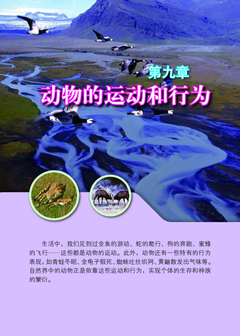 《生物学八年级上册_光塔笔记初中课本_初中生物学_北京版》第5页预览