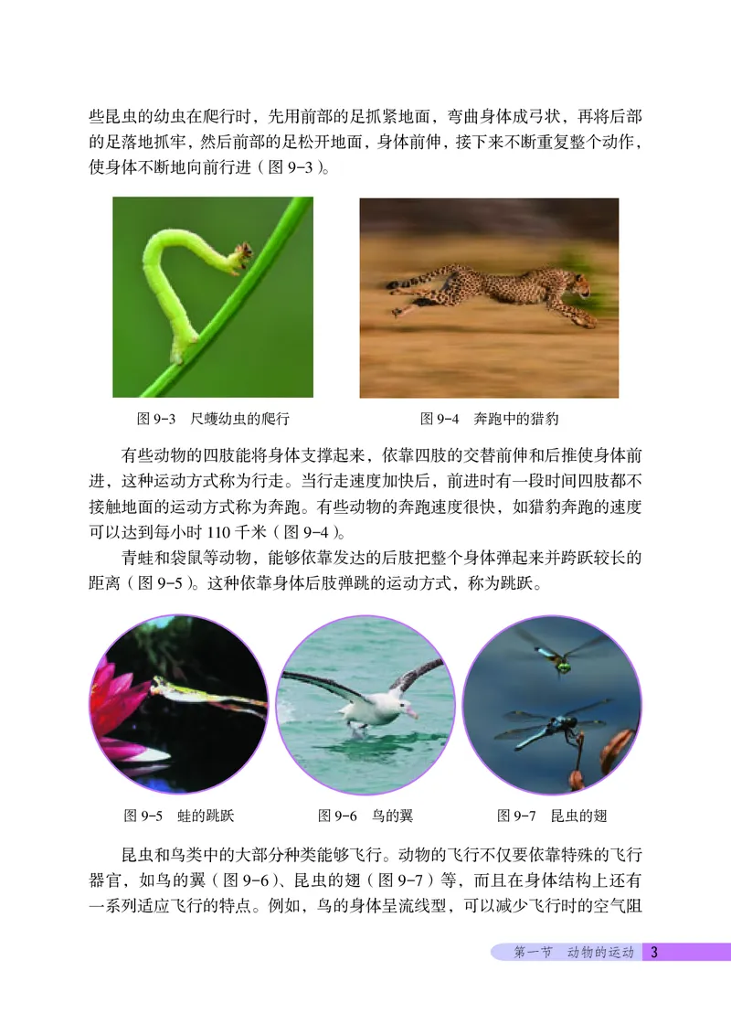 《生物学八年级上册_光塔笔记初中课本_初中生物学_北京版》第7页预览