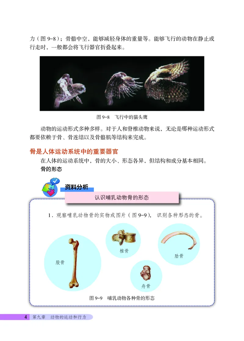 《生物学八年级上册_光塔笔记初中课本_初中生物学_北京版》第8页预览