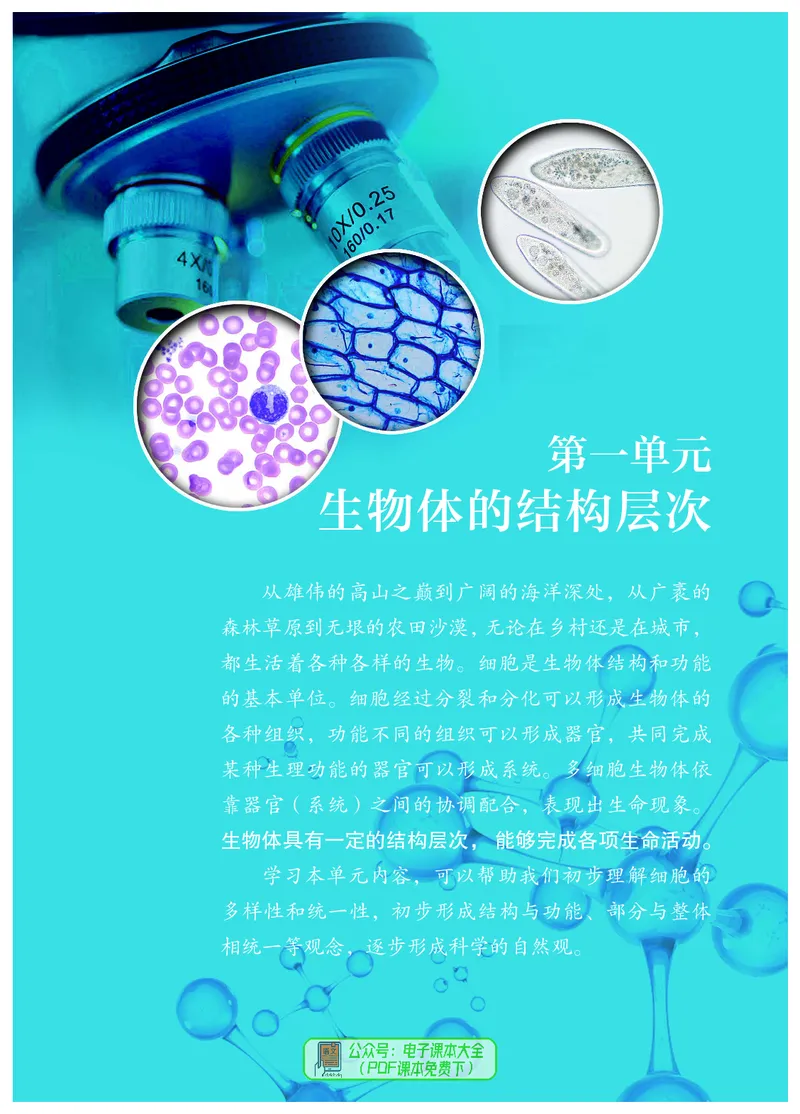 《生物七上冀少版（2024秋）_光塔笔记初中课本_初中生物学_冀少版》第10页预览