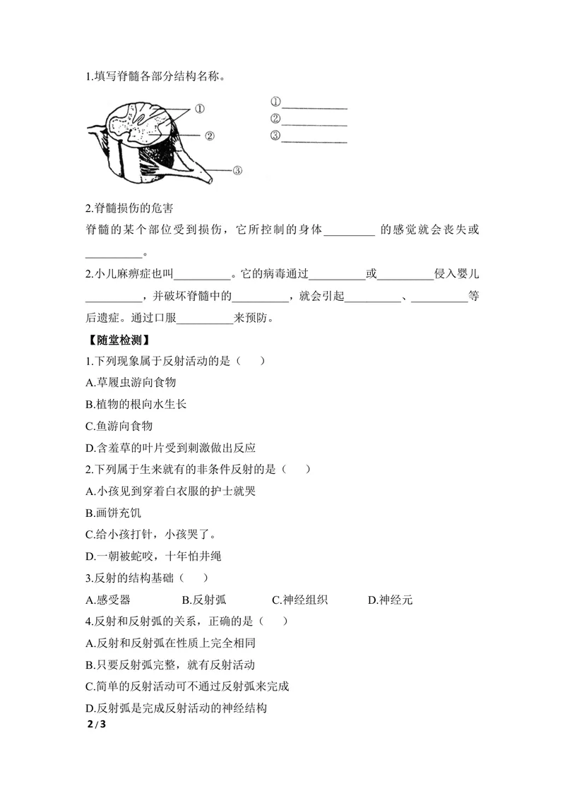 《《信息的处理》第一课时导学案_初中全科目同步习题+精品试卷（7-9年级）_25秋初中生物《同步习题+精品试卷》_初中生物试卷（冀少版）_《同步练习+教案学案》_七年级下册》第2页预览