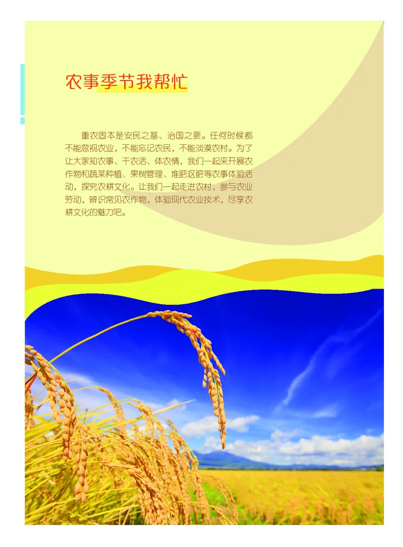 《综合实践活动8B_光塔笔记初中课本_初中综合实践_粤教版》第6页预览