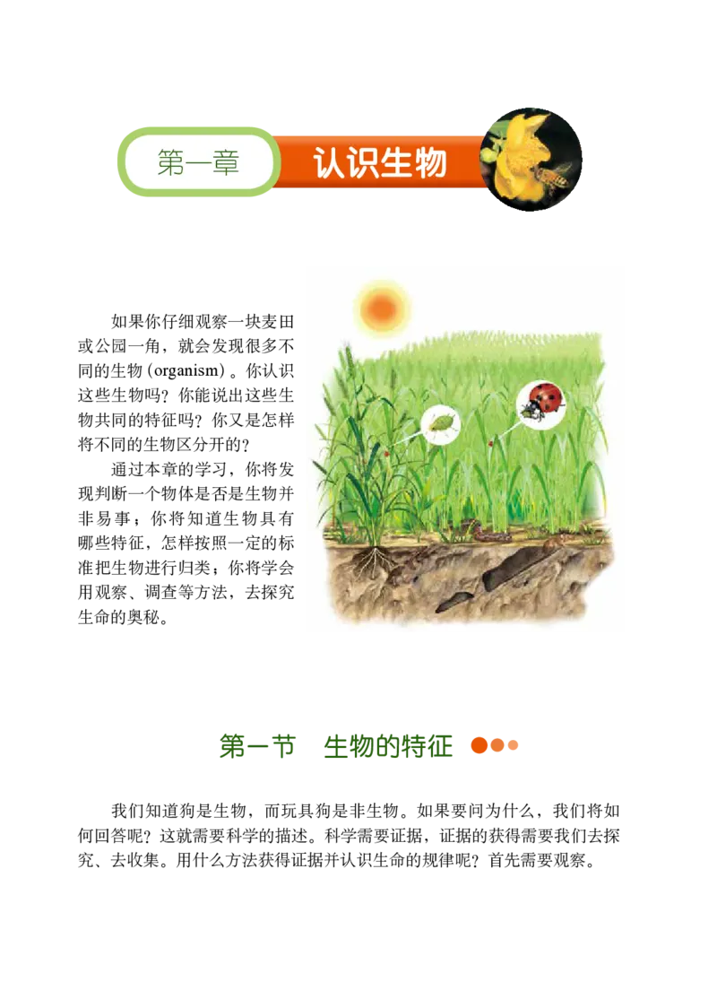 《义务教育教科书（五·四学制）生物学六年级上册_光塔笔记初中课本_初中生物学_鲁科版五四制》第7页预览