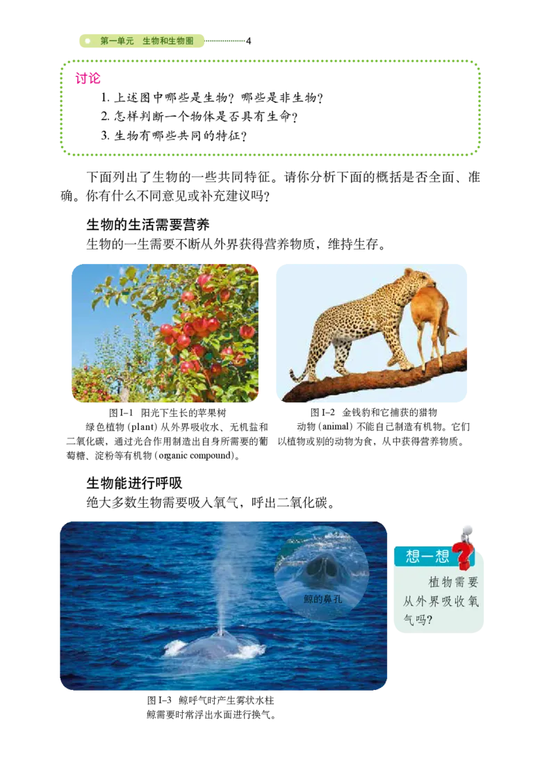 《义务教育教科书（五·四学制）生物学六年级上册_光塔笔记初中课本_初中生物学_鲁科版五四制》第9页预览