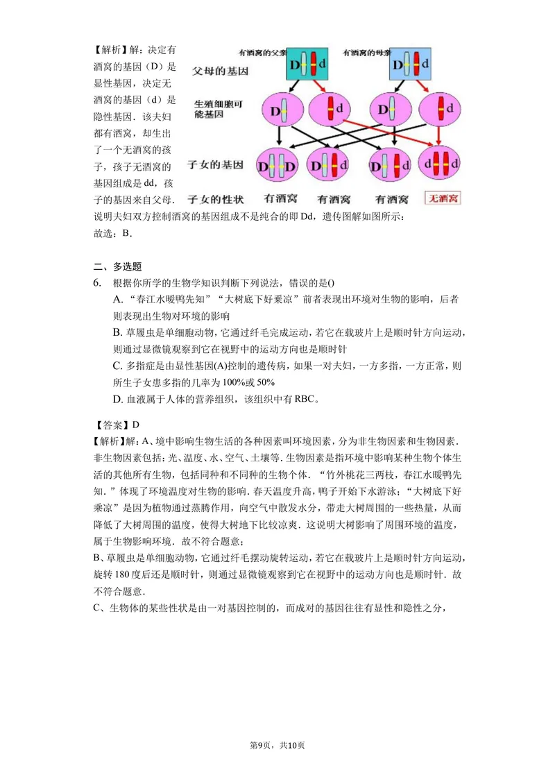 《7.2.3基因的显性和隐形_初中全科目同步习题+精品试卷（7-9年级）_25秋初中生物《同步习题+精品试卷》_初中生物试卷（北师大）_《单元试卷》_单元试卷8B_第二章生物的遗传与变异》第3页预览
