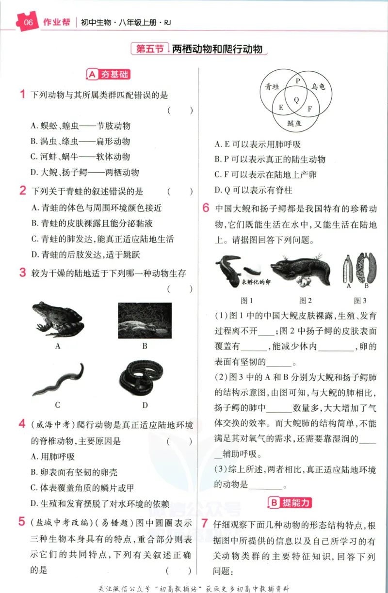 《教材帮8年级上册生物人教版作业帮_初中7-9年级《教材帮》_007教材帮-初中全科_初中教材帮7-9年级生物》第8页预览