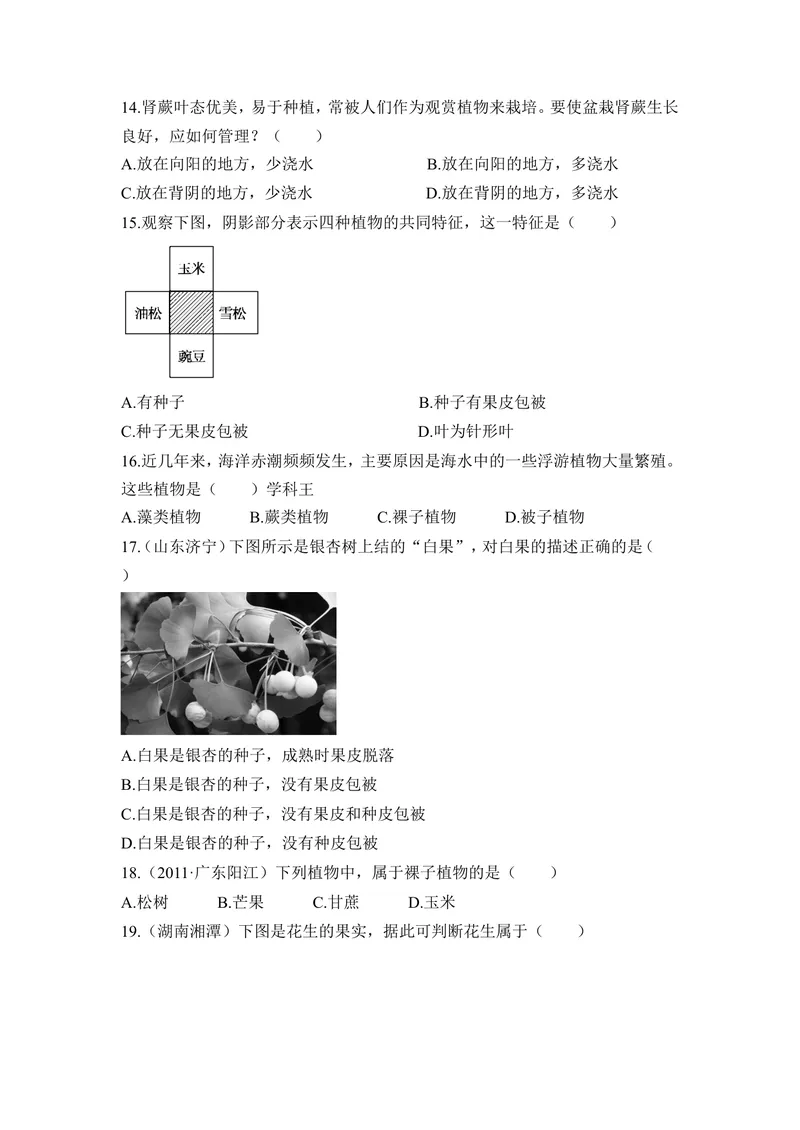 《《形形色色的植物》章末测试_初中全科目同步习题+精品试卷（7-9年级）_25秋初中生物《同步习题+精品试卷》_初中生物试卷（冀少版）_《同步练习+教案学案》_七年级上册》第3页预览