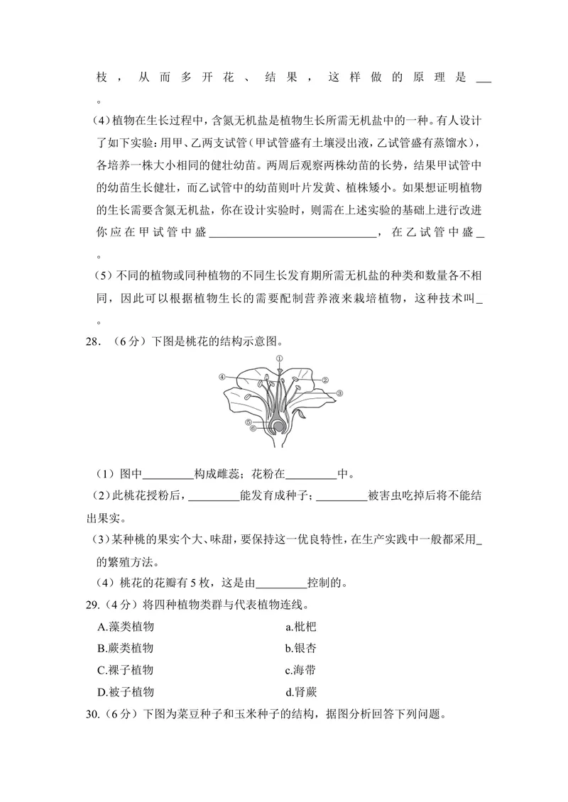 《《形形色色的植物》章末测试_初中全科目同步习题+精品试卷（7-9年级）_25秋初中生物《同步习题+精品试卷》_初中生物试卷（冀少版）_《同步练习+教案学案》_七年级上册》第6页预览