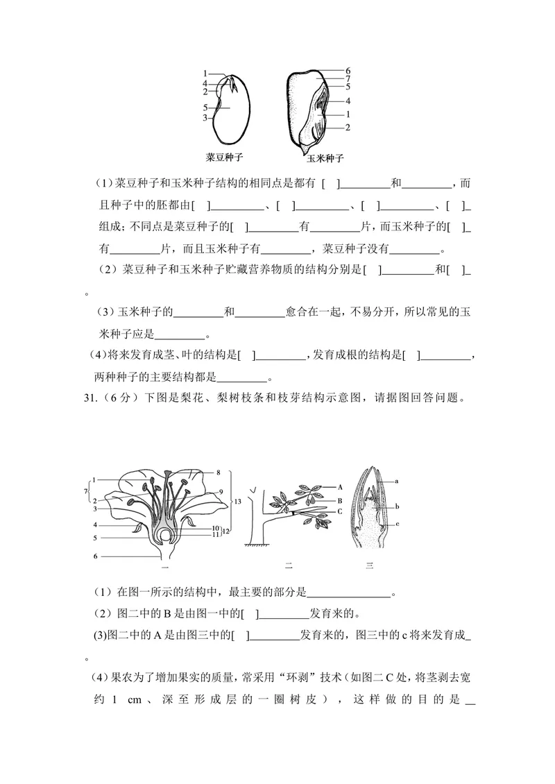 《《形形色色的植物》章末测试_初中全科目同步习题+精品试卷（7-9年级）_25秋初中生物《同步习题+精品试卷》_初中生物试卷（冀少版）_《同步练习+教案学案》_七年级上册》第7页预览