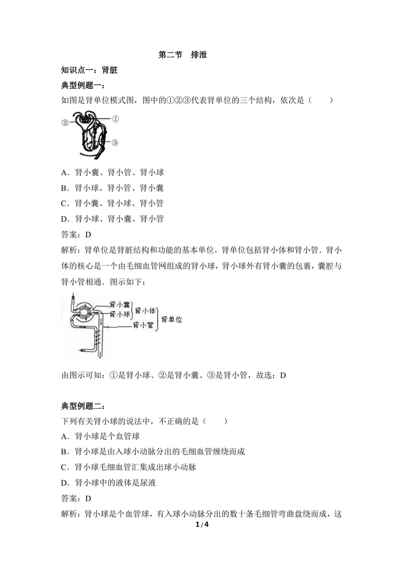 《《排泄》例题解析_初中全科目同步习题+精品试卷（7-9年级）_25秋初中生物《同步习题+精品试卷》_初中生物试卷（冀少版）_《同步练习+教案学案》_七年级下册_第三章健肺强肾精力充沛》第1页预览