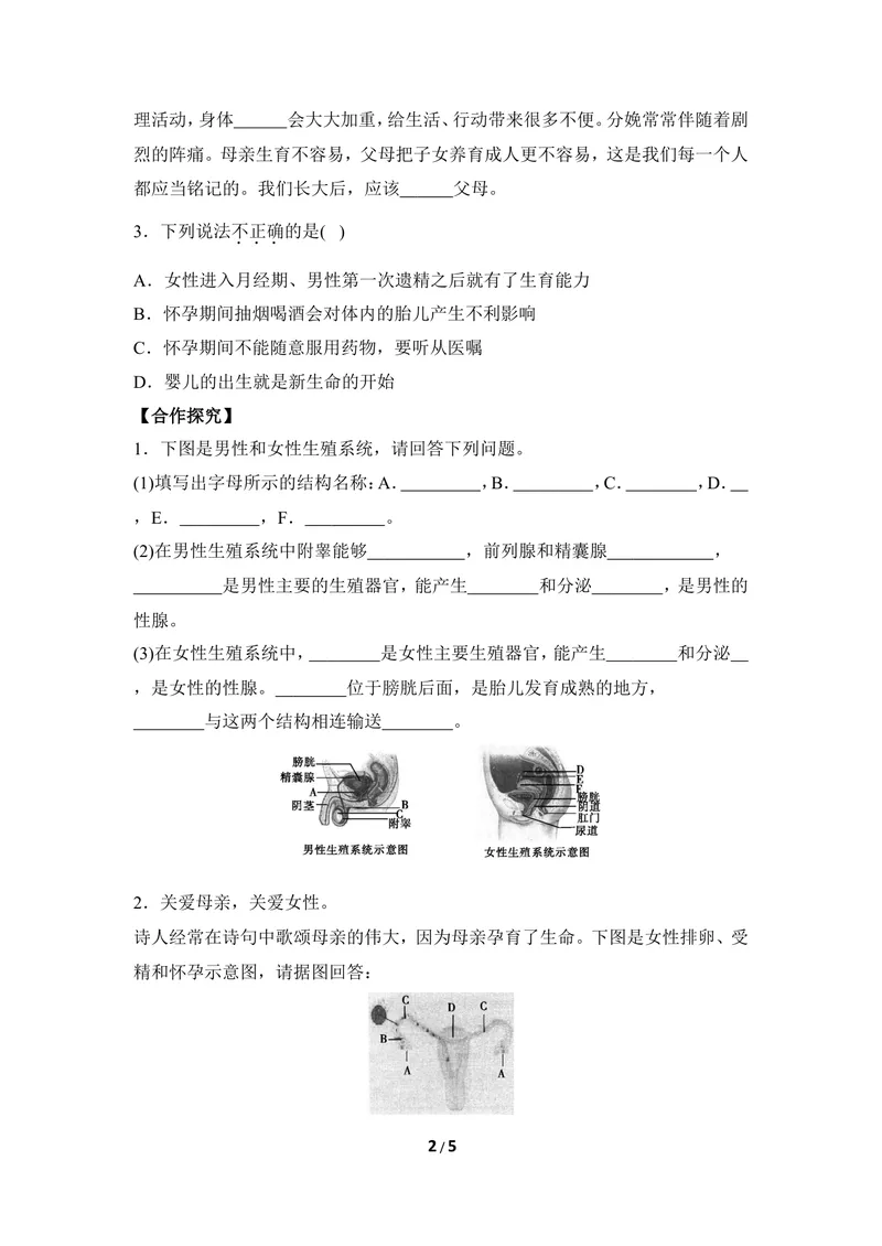 《《人的生殖和胚胎发育》导学案2_初中全科目同步习题+精品试卷（7-9年级）_25秋初中生物《同步习题+精品试卷》_初中生物试卷（冀少版）_《同步练习+教案学案》_八年级下册》第2页预览