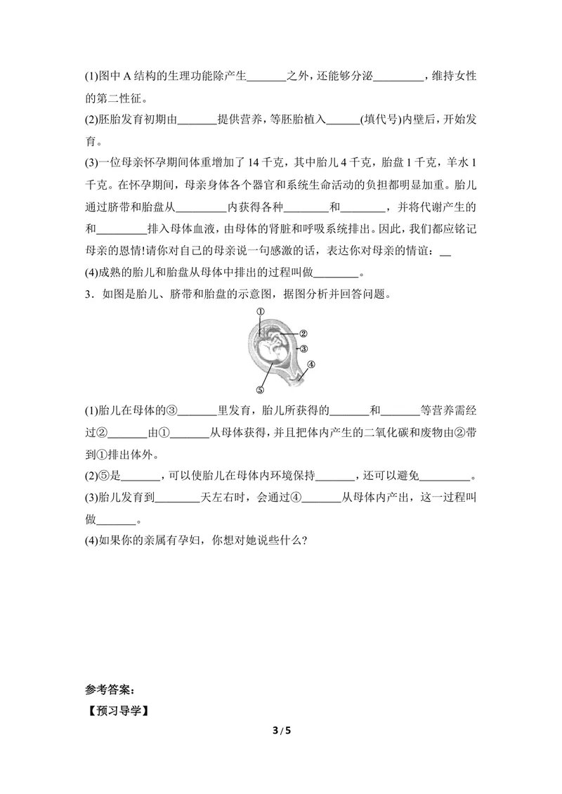 《《人的生殖和胚胎发育》导学案2_初中全科目同步习题+精品试卷（7-9年级）_25秋初中生物《同步习题+精品试卷》_初中生物试卷（冀少版）_《同步练习+教案学案》_八年级下册》第3页预览