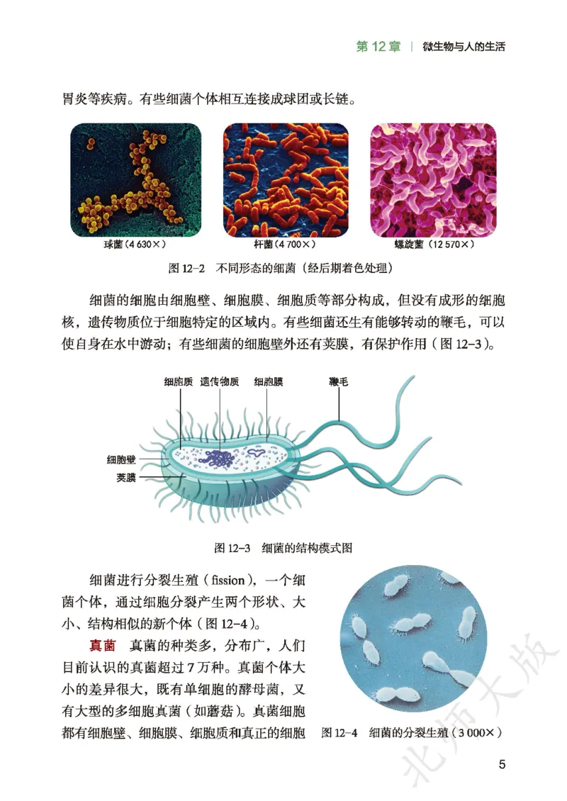 《生物八上北师大(2025秋)(1)_光塔笔记初中课本_初中生物学_北师大》第9页预览