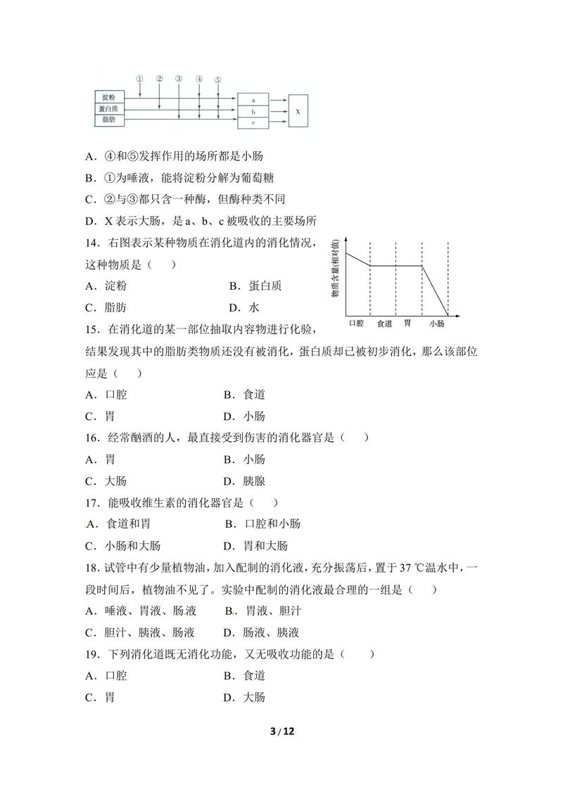 《《合理膳食_平衡营养》章末测试_初中全科目同步习题+精品试卷（7-9年级）_25秋初中生物《同步习题+精品试卷》_初中生物试卷（冀少版）_《同步练习+教案学案》_七年级下册》第3页预览