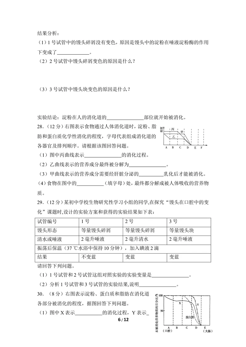 《《合理膳食_平衡营养》章末测试_初中全科目同步习题+精品试卷（7-9年级）_25秋初中生物《同步习题+精品试卷》_初中生物试卷（冀少版）_《同步练习+教案学案》_七年级下册》第6页预览