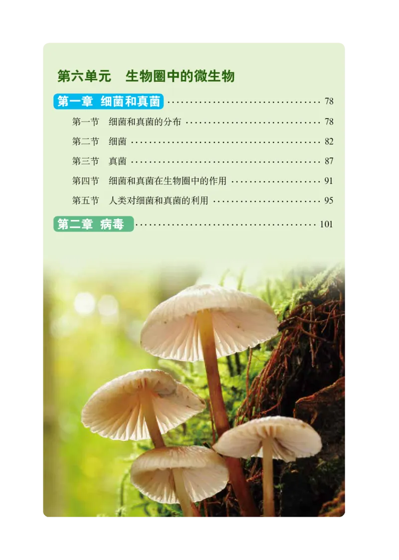 《义务教育教科书（五·四学制）生物学七年级下册_光塔笔记初中课本_初中生物学_鲁科版五四制》第5页预览