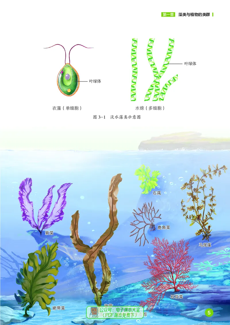 《生物六下鲁科版五四制（2025春）_光塔笔记初中课本_2025春新增教材合集_初中生物7年级下册（2025春）》第10页预览