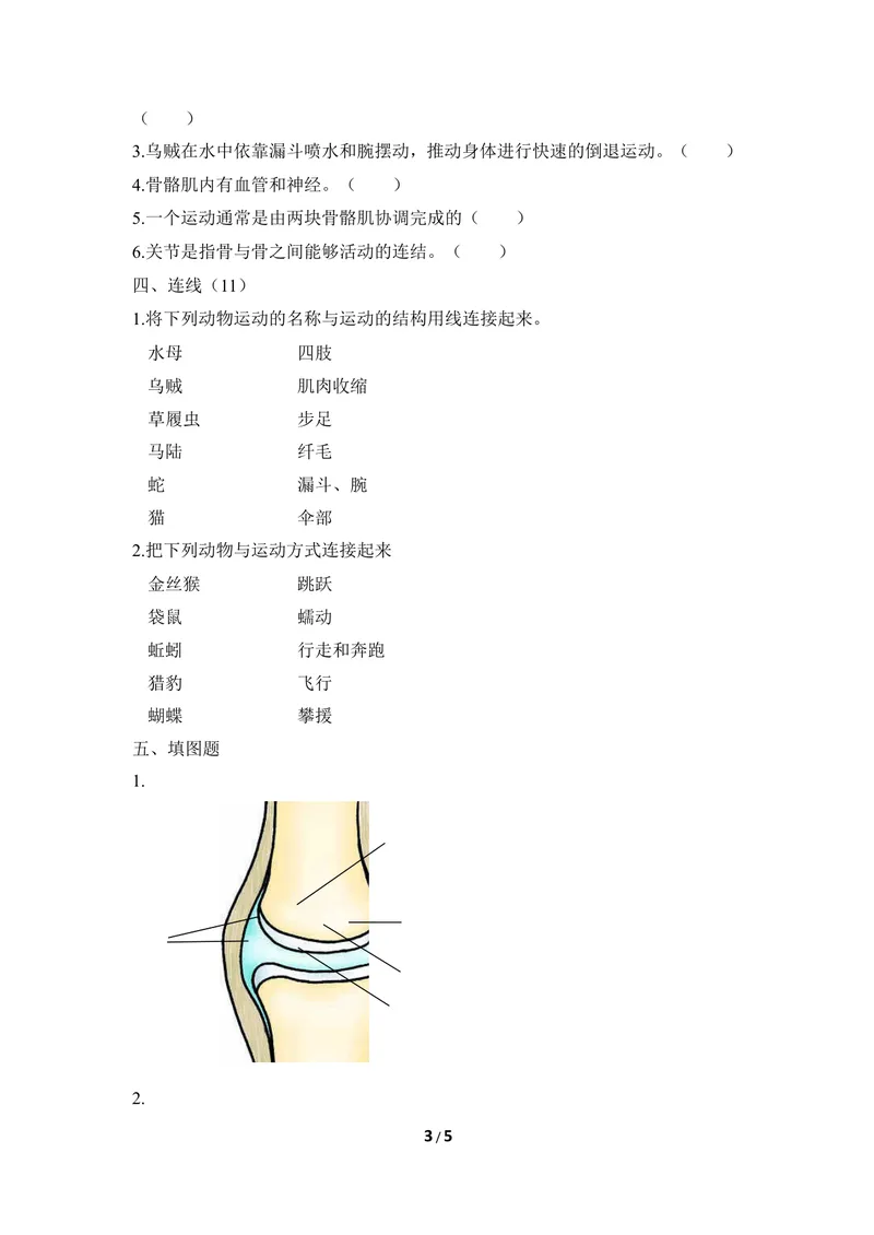 《《动物的运动》章末测试_初中全科目同步习题+精品试卷（7-9年级）_25秋初中生物《同步习题+精品试卷》_初中生物试卷（冀少版）_《同步练习+教案学案》_八年级上册_第四单元动物的生活》第3页预览