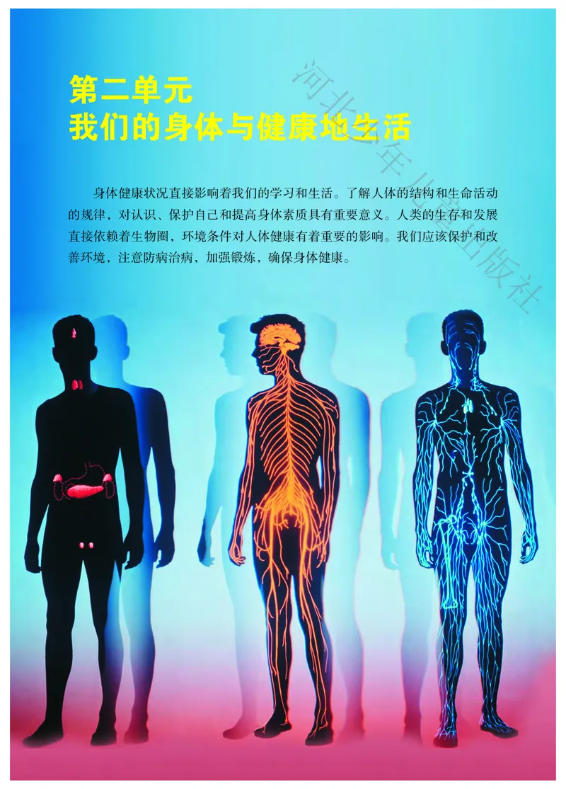 《河北少年儿童出版社生物学七年级下册_光塔笔记初中课本_初中生物学_冀少版》第6页预览