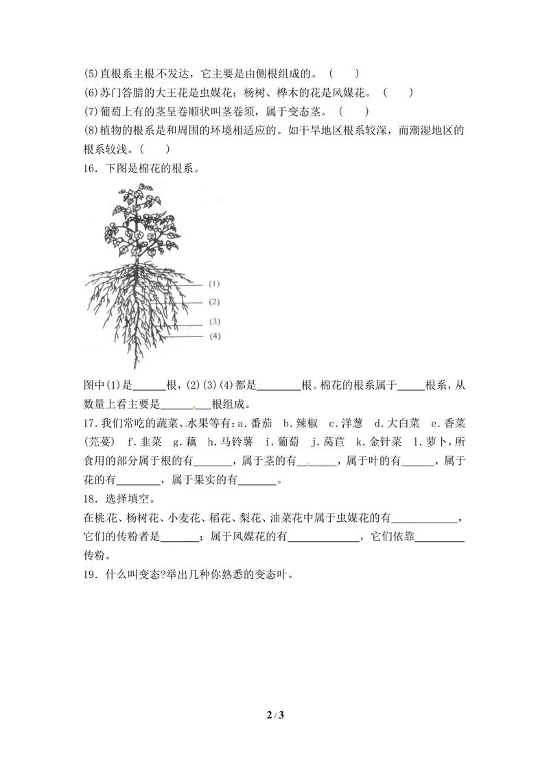 《《在实验室里观察植物》同步练习_初中全科目同步习题+精品试卷（7-9年级）_25秋初中生物《同步习题+精品试卷》_初中生物试卷（冀少版）_《同步练习+教案学案》_七年级上册》第2页预览