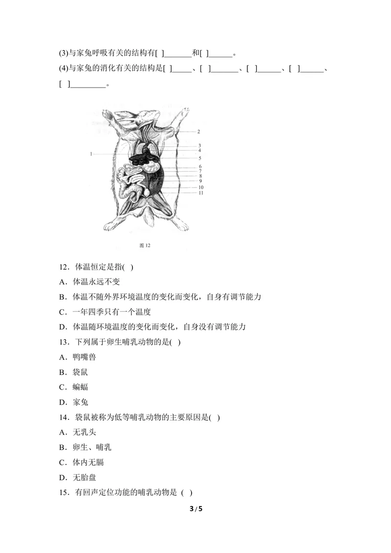 《《哺乳类》同步练习2_初中全科目同步习题+精品试卷（7-9年级）_25秋初中生物《同步习题+精品试卷》_初中生物试卷（冀少版）_《同步练习+教案学案》_七年级上册_第四章多种多样的动物》第3页预览