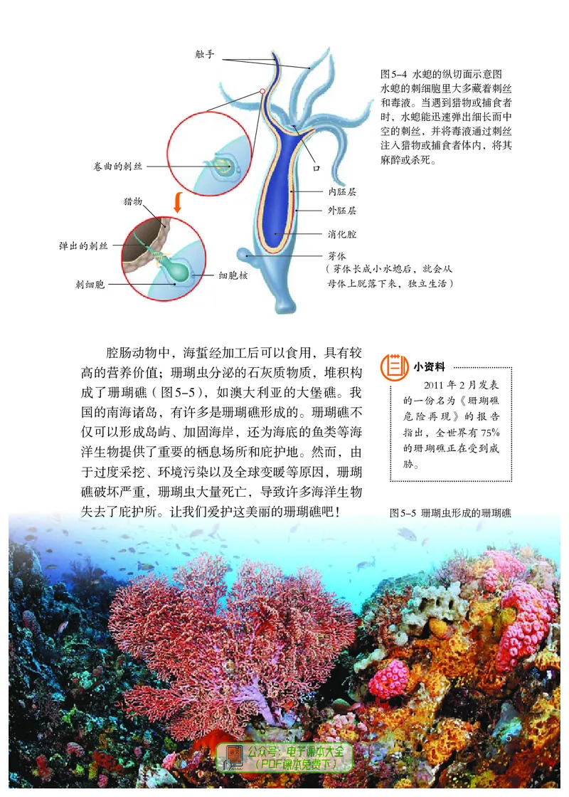 《生物学8年级上册（2024秋）_光塔笔记初中课本_初中生物学_人教版_初中生物8年级上册》第10页预览