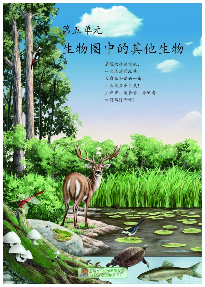 《生物学8年级上册（2024秋）_光塔笔记初中课本_初中生物学_人教版_初中生物8年级上册》第6页预览
