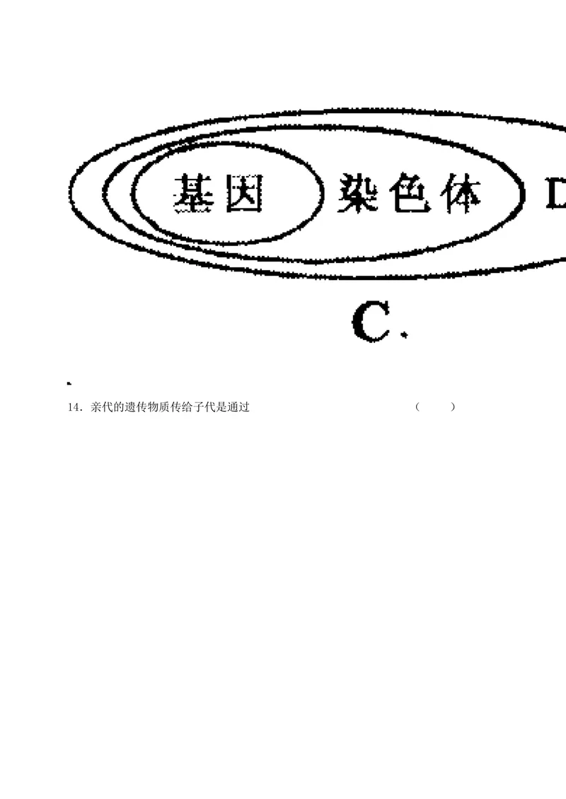 《[首发]江西省高安市第二中学2016-2017学年八年级下学期第一次月考生物试题_初中全科目同步习题+精品试卷（7-9年级）_25秋初中生物《同步习题+精品试卷》_初中生物试卷（冀少版）》第4页预览
