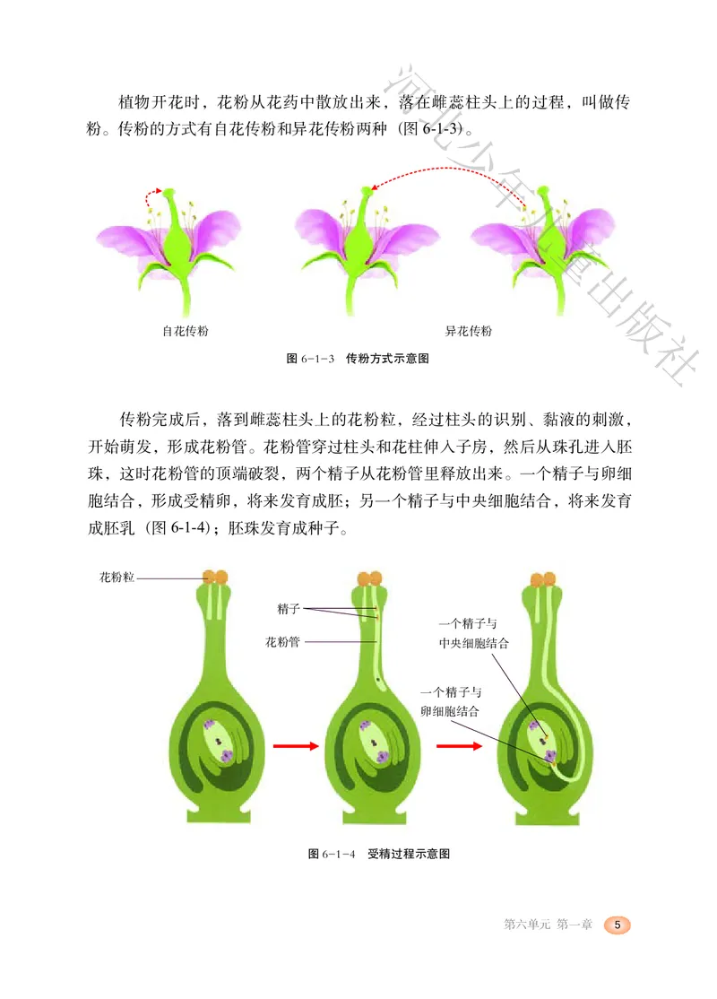 《河北少年儿童出版社生物学八年级下册_光塔笔记初中课本_初中生物学_冀少版》第10页预览