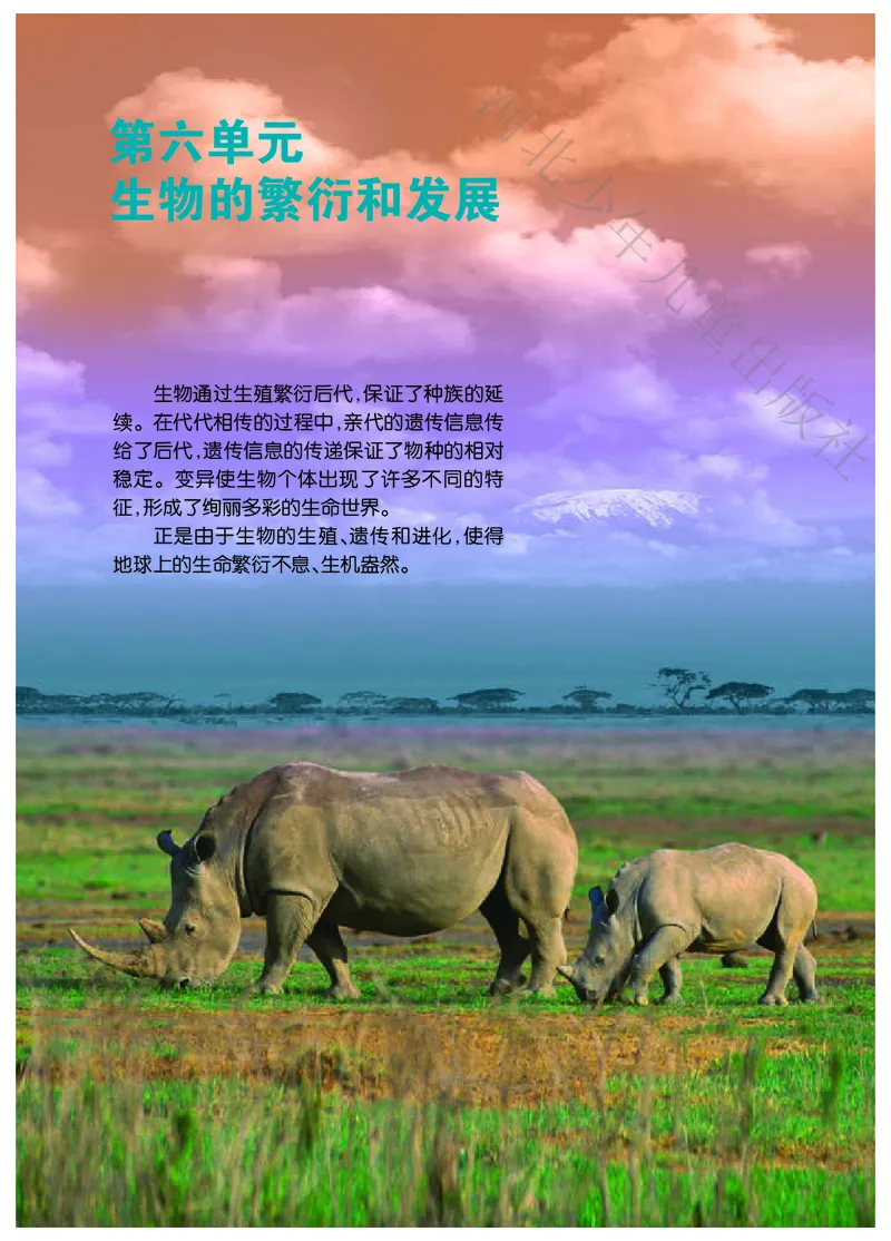《河北少年儿童出版社生物学八年级下册_光塔笔记初中课本_初中生物学_冀少版》第6页预览