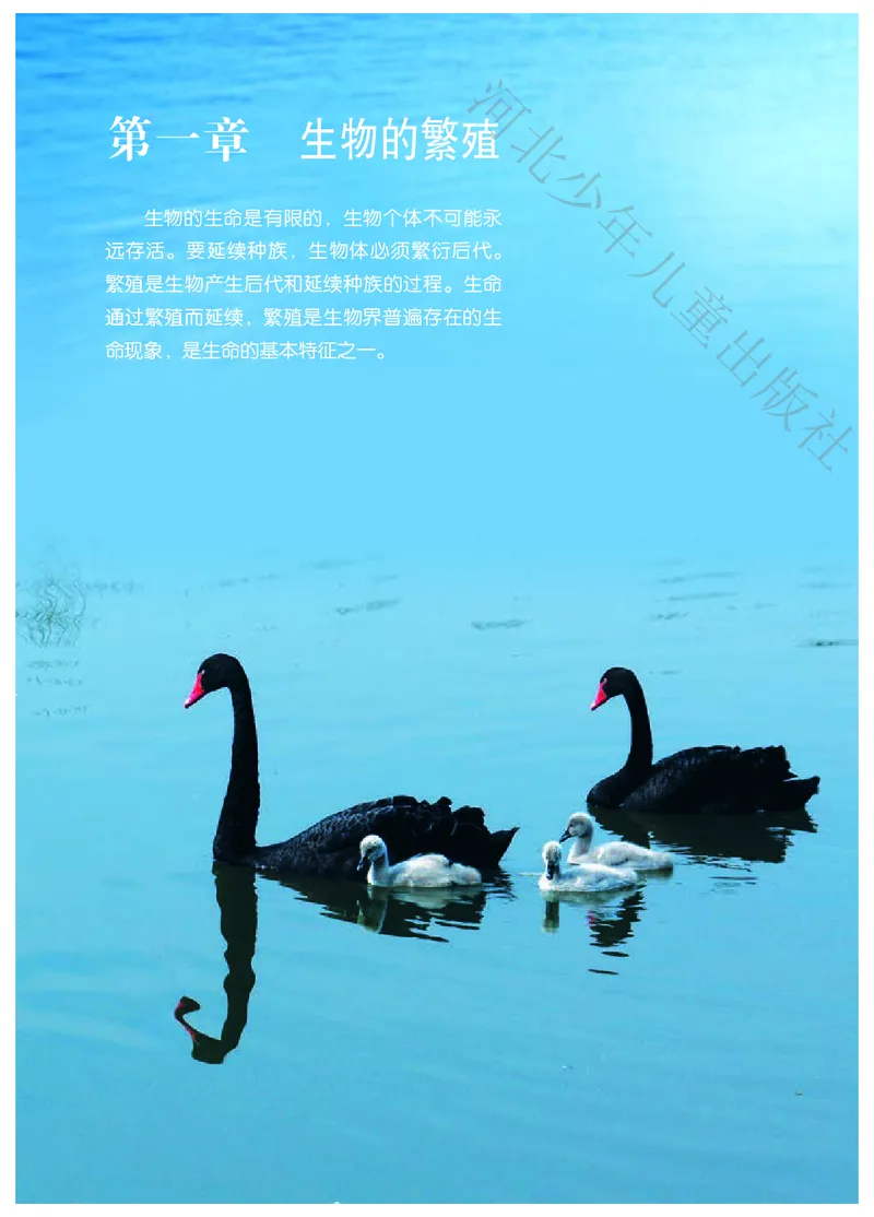 《河北少年儿童出版社生物学八年级下册_光塔笔记初中课本_初中生物学_冀少版》第7页预览