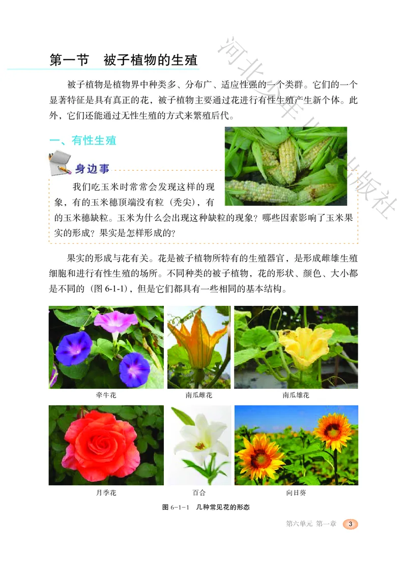 《河北少年儿童出版社生物学八年级下册_光塔笔记初中课本_初中生物学_冀少版》第8页预览