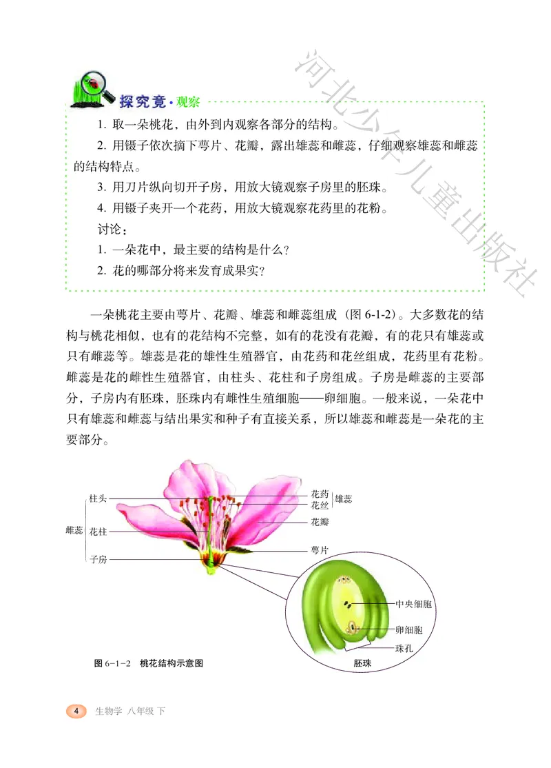 《河北少年儿童出版社生物学八年级下册_光塔笔记初中课本_初中生物学_冀少版》第9页预览