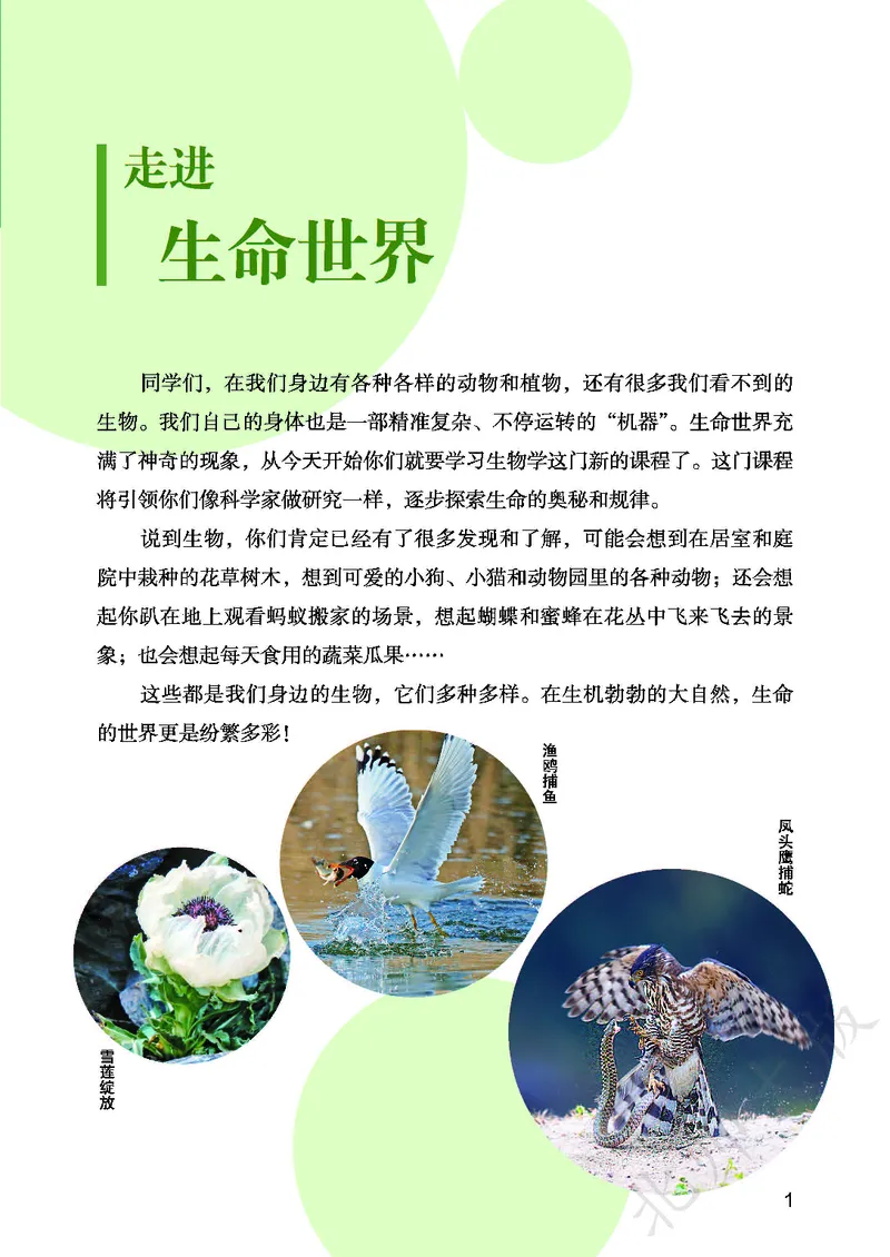 《生物七上北师大（2024秋）_光塔笔记初中课本_初中生物学_北师大》第5页预览