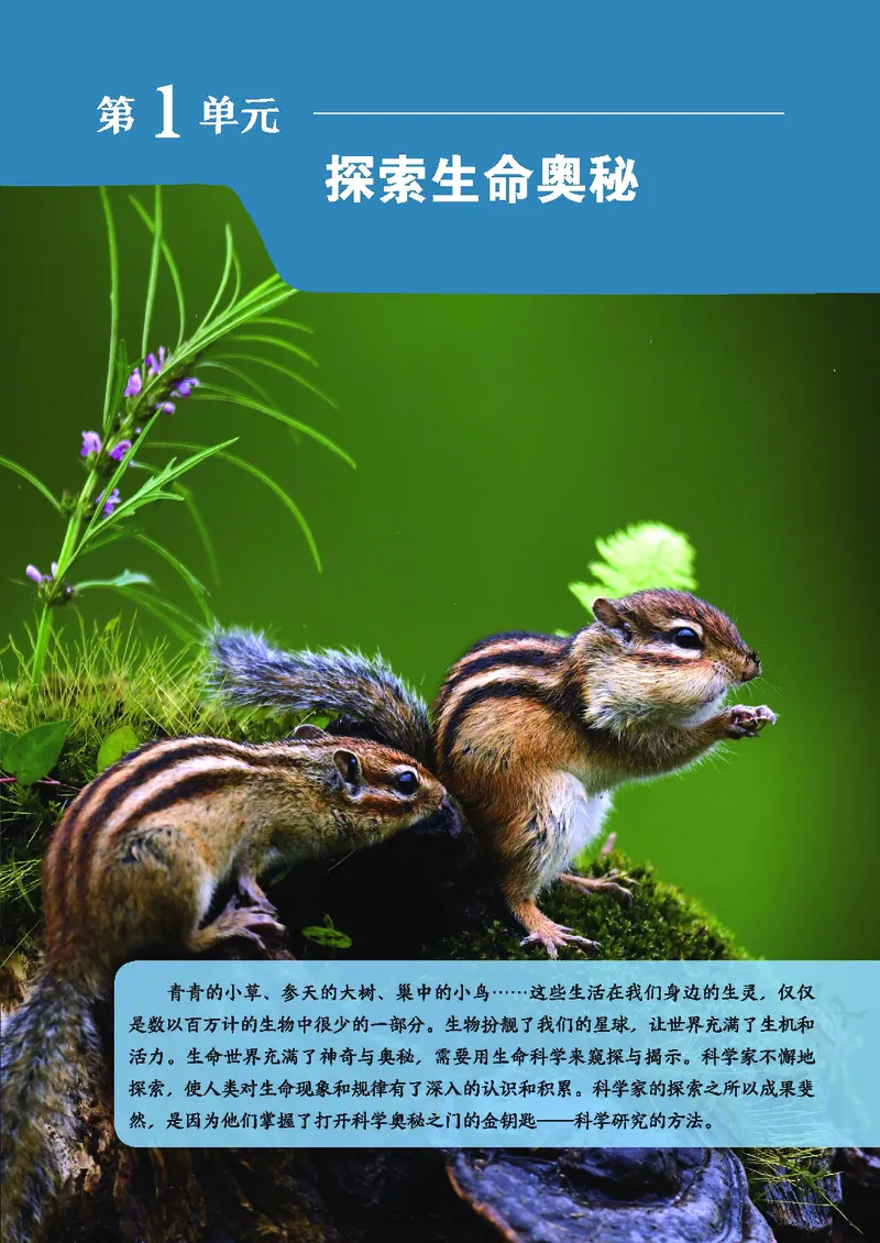 《生物七上北师大（2024秋）_光塔笔记初中课本_初中生物学_北师大》第9页预览