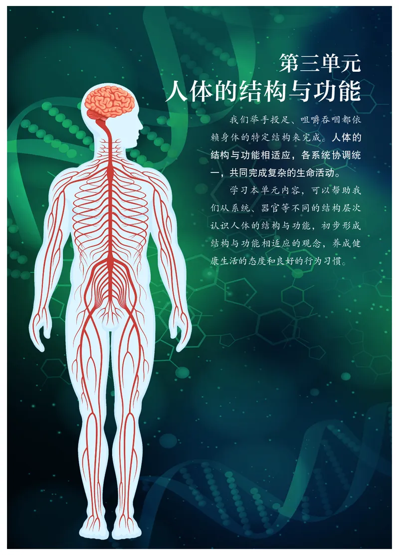 《生物七下冀少版（2025春）_光塔笔记初中课本_2025春新增教材合集_初中生物7年级下册（2025春）》第8页预览