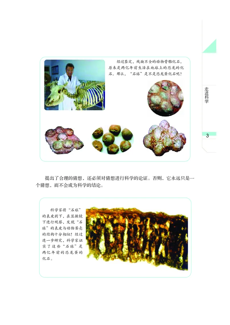 《武汉出版社-科学-7年级上册_光塔笔记初中课本_初中科学_武汉版》第10页预览