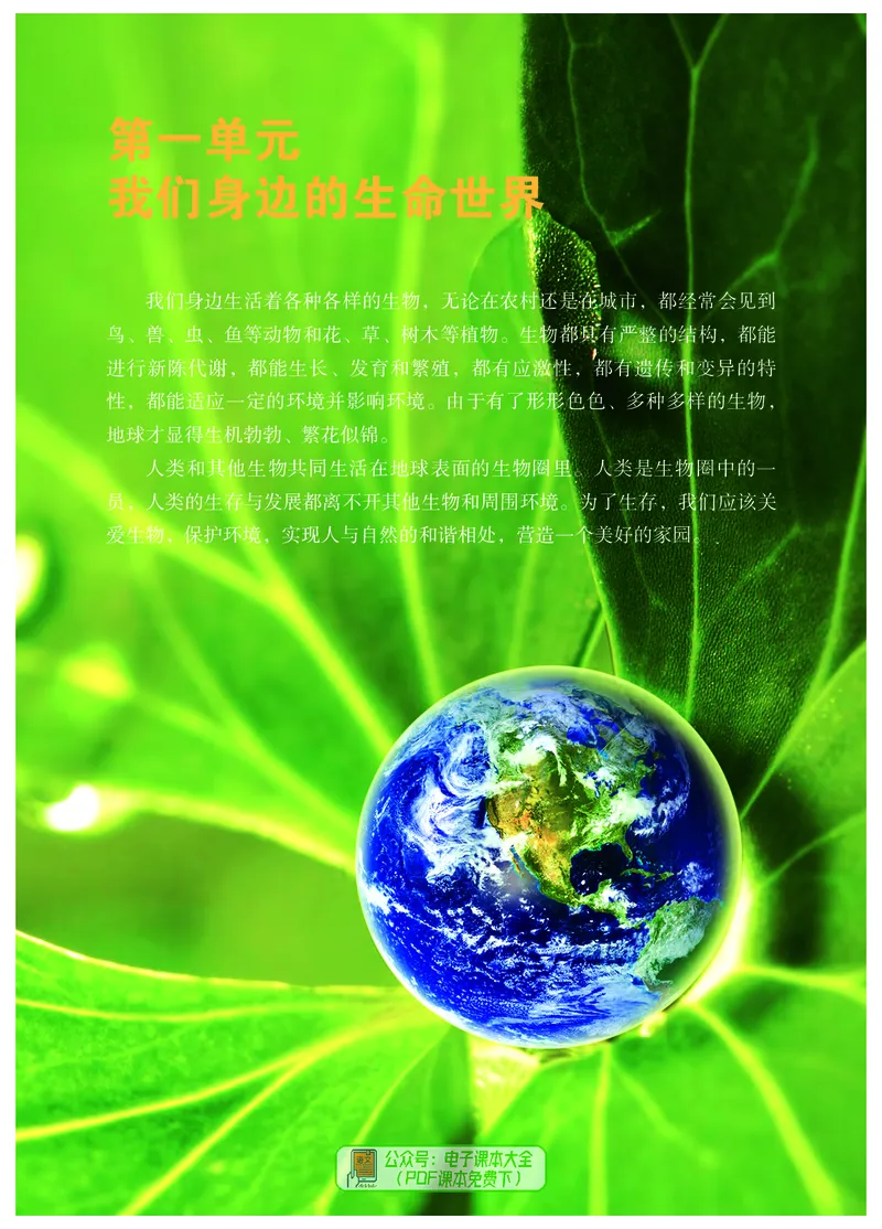 《河北少年儿童出版社生物学七年级上册_光塔笔记初中课本_初中生物学_冀少版》第7页预览