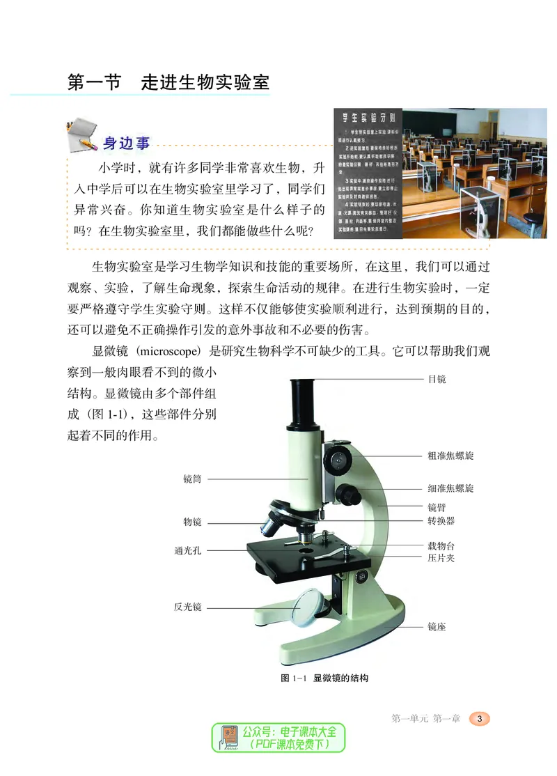 《河北少年儿童出版社生物学七年级上册_光塔笔记初中课本_初中生物学_冀少版》第9页预览