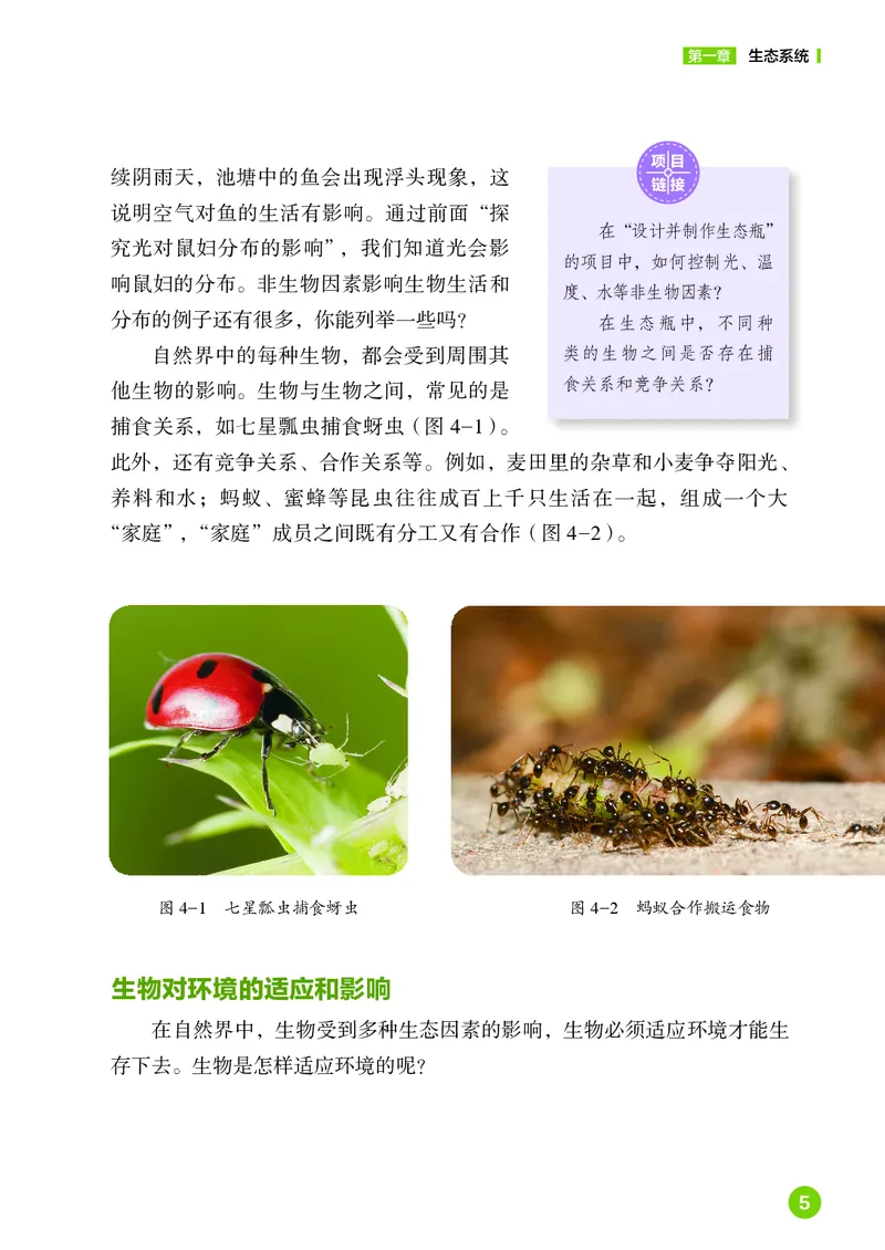 《生物七上鲁科版五四制（2025秋）_光塔笔记初中课本_初中生物学_鲁科版五四制》第10页预览