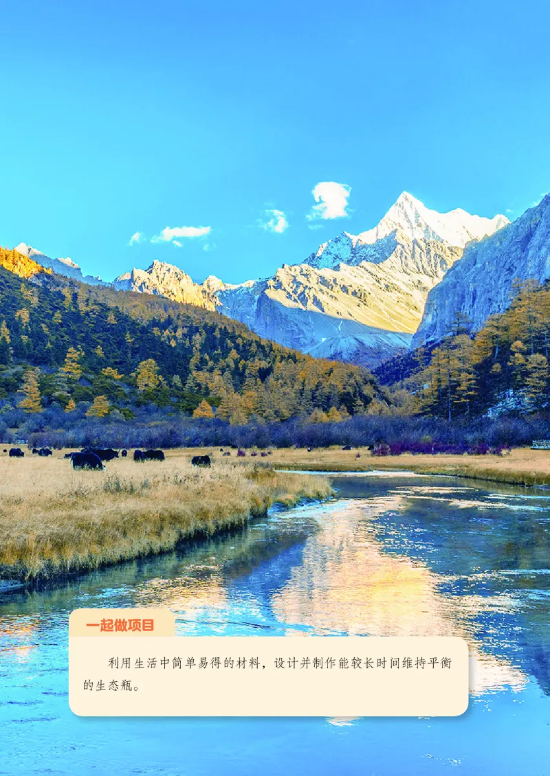 《生物七上鲁科版五四制（2025秋）_光塔笔记初中课本_初中生物学_鲁科版五四制》第6页预览