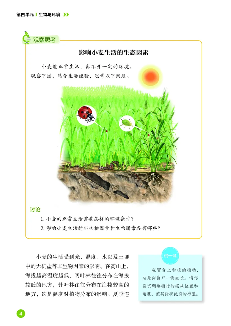 《生物七上鲁科版五四制（2025秋）_光塔笔记初中课本_初中生物学_鲁科版五四制》第9页预览