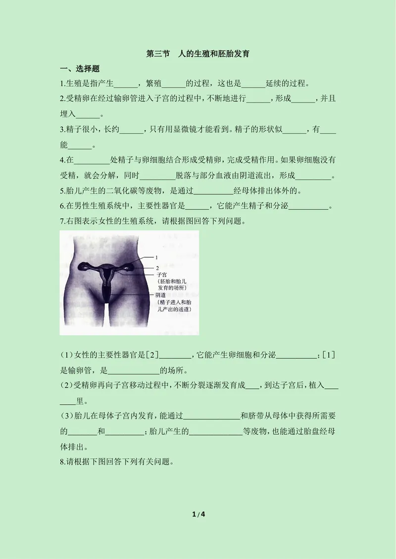 《《人的生殖和胚胎发育》课堂训练_初中全科目同步习题+精品试卷（7-9年级）_25秋初中生物《同步习题+精品试卷》_初中生物试卷（冀少版）_《同步练习+教案学案》_八年级下册》第1页预览
